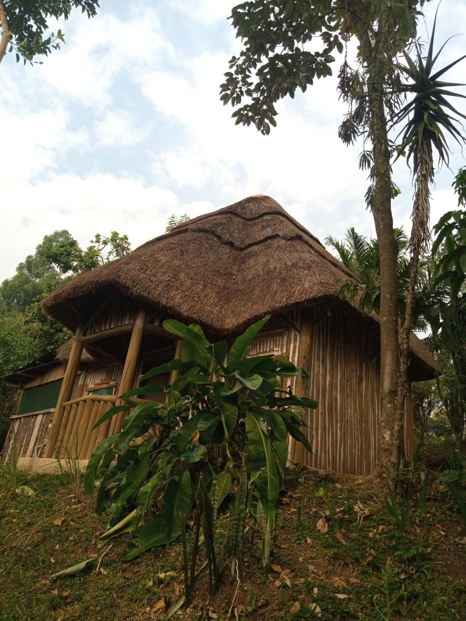 Dave The Cave Eco Lodge And Cultural Campsite Rubirizi Ngoại thất bức ảnh